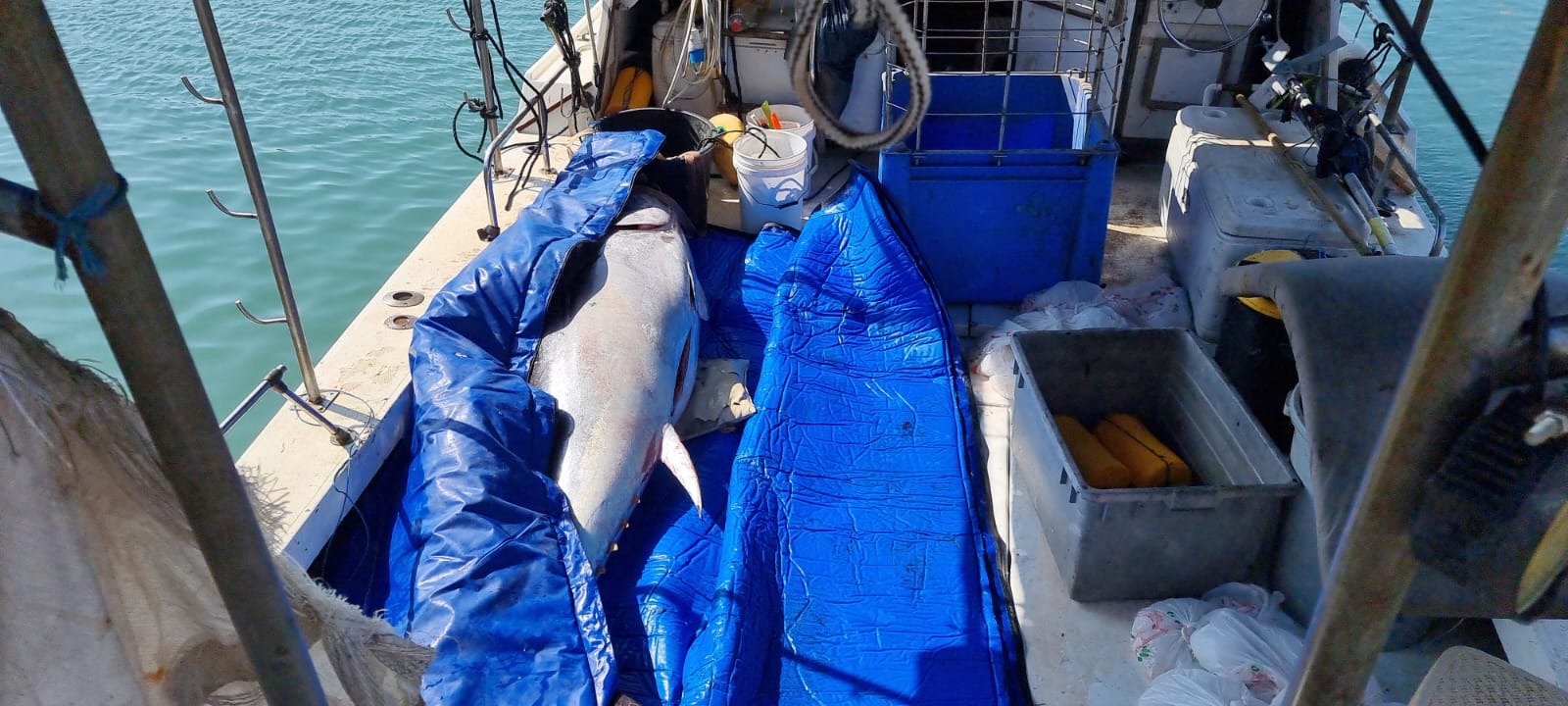 WhatsApp Image 2022-05-25 at 4.39.09 PM.jpeg